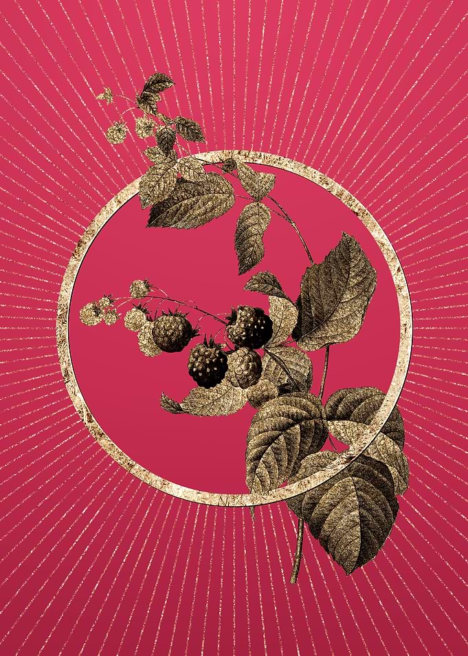 Viva Magenta Red Berries