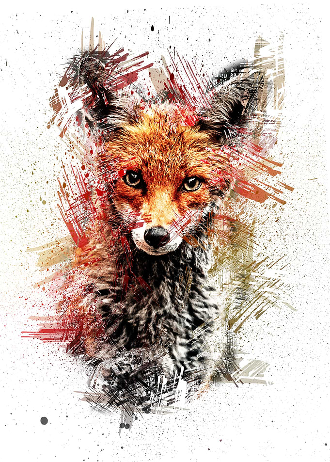 Animal Fox