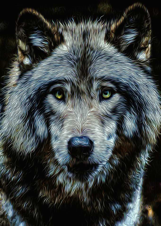 Wolf