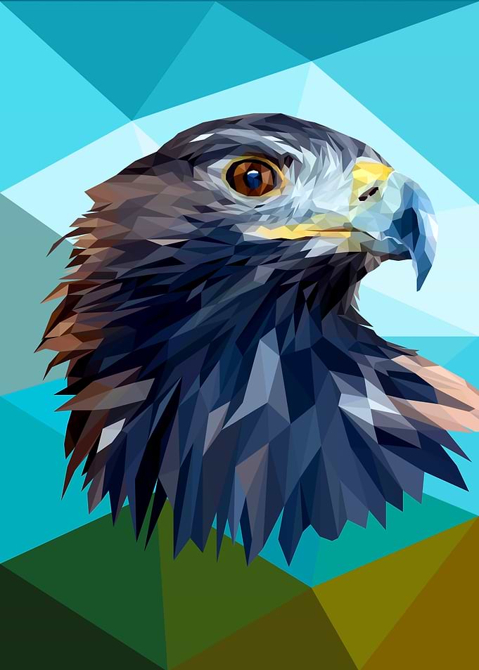 Hawk