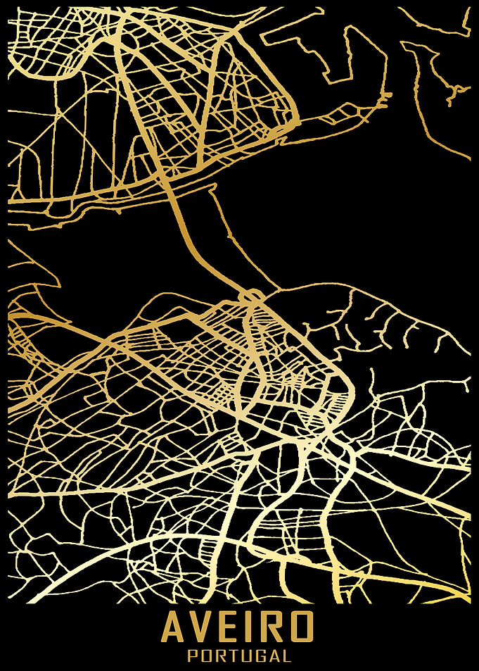 Aveiro Portugal City Map