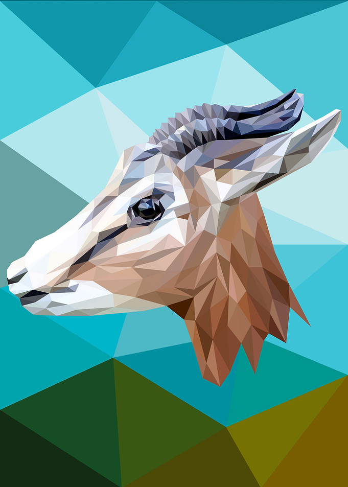 Antelope