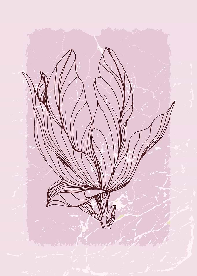 Scandinavian Magnolia