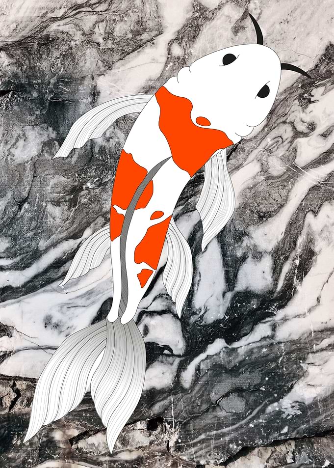 Koi Fish