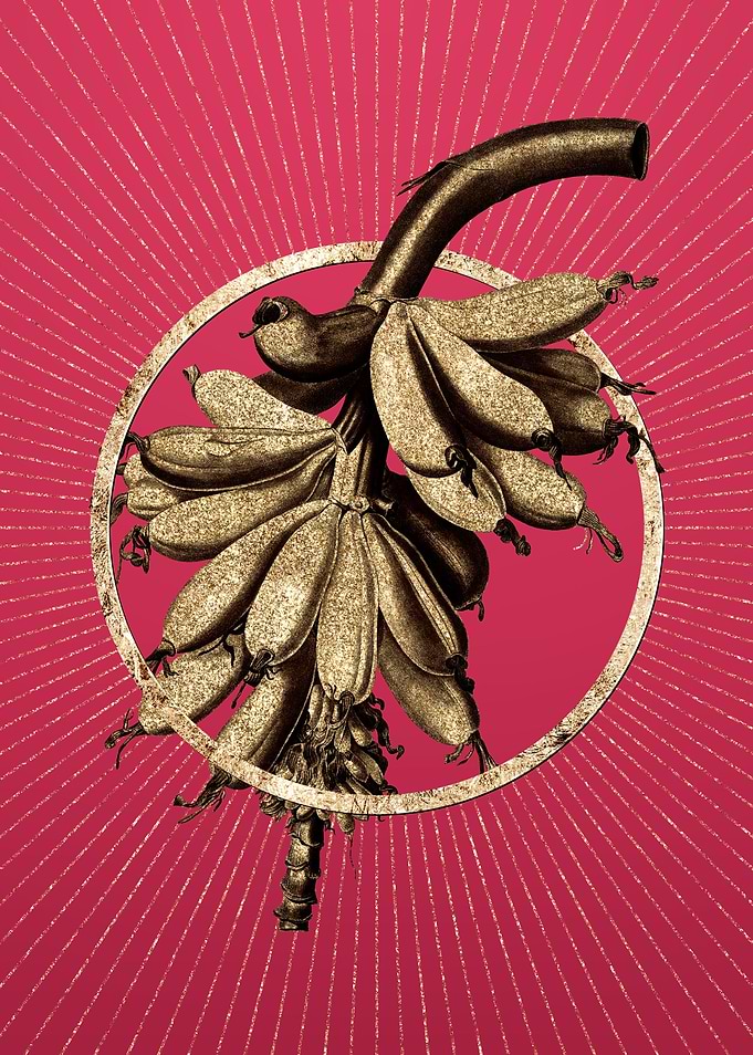 Banana on Viva Magenta