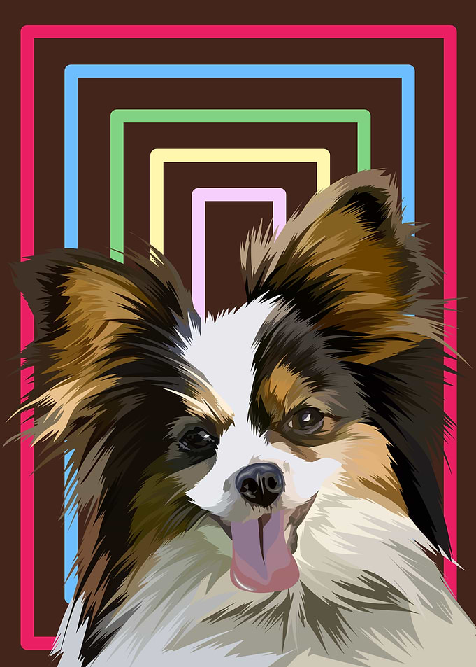 Papillon dog in vector