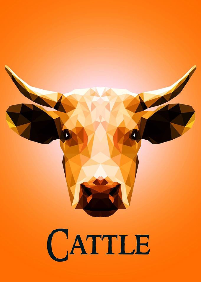 Cattle
