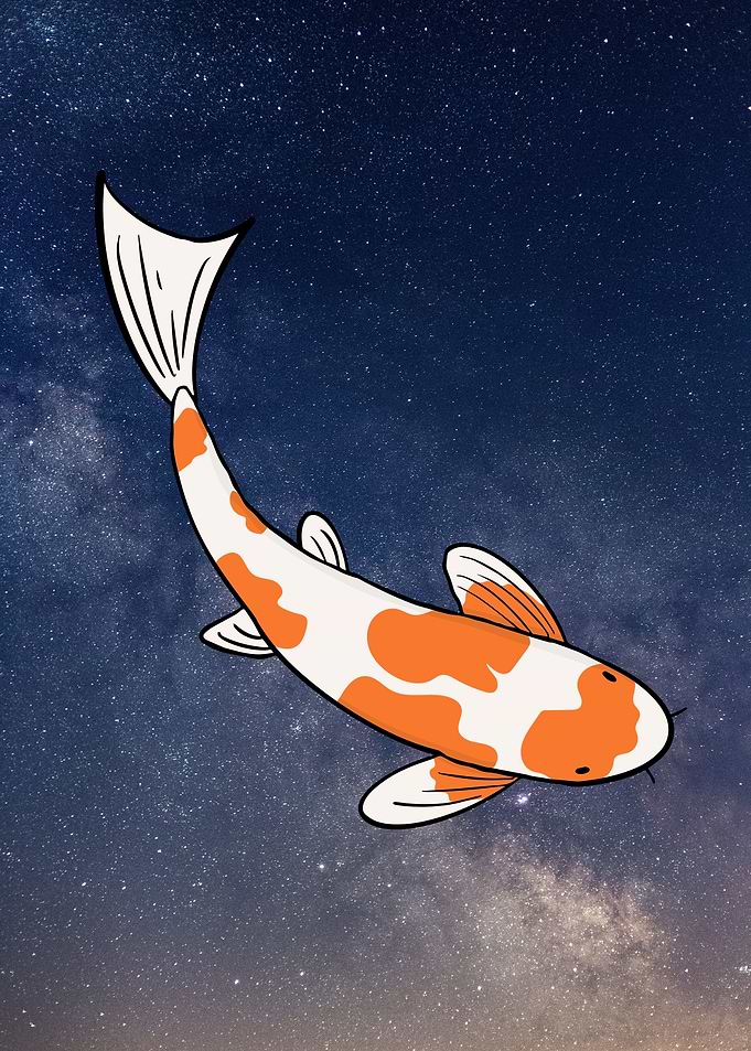 Koi Fish