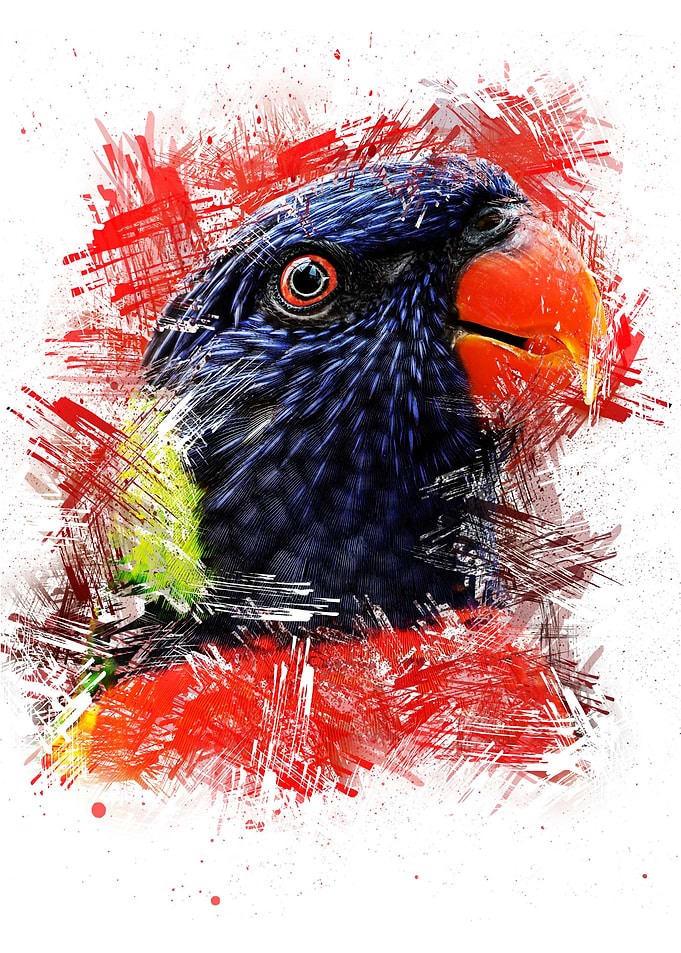 Animal Bird