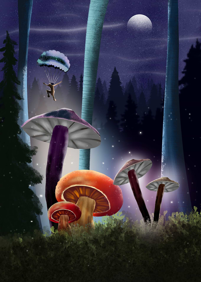 parachute into the magic