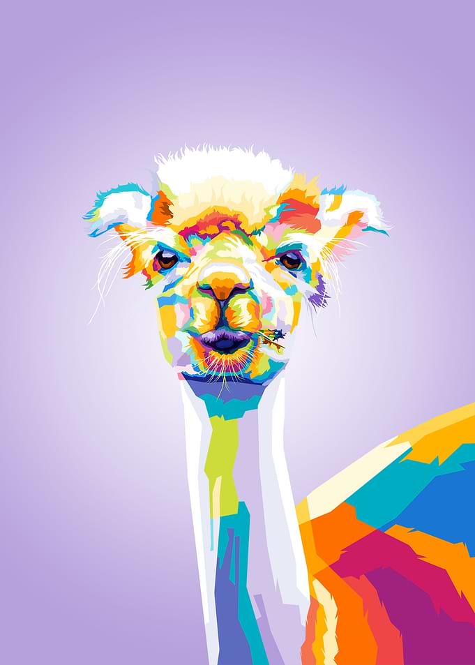 Alpaca Colorful pop art
