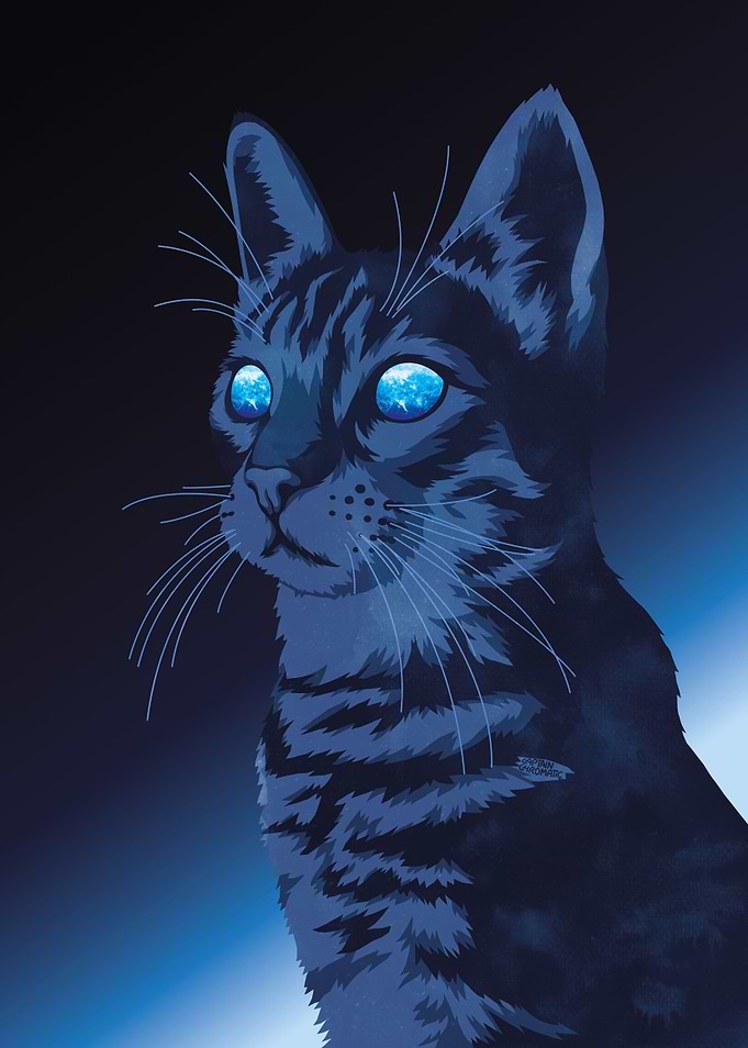 Blind kitty