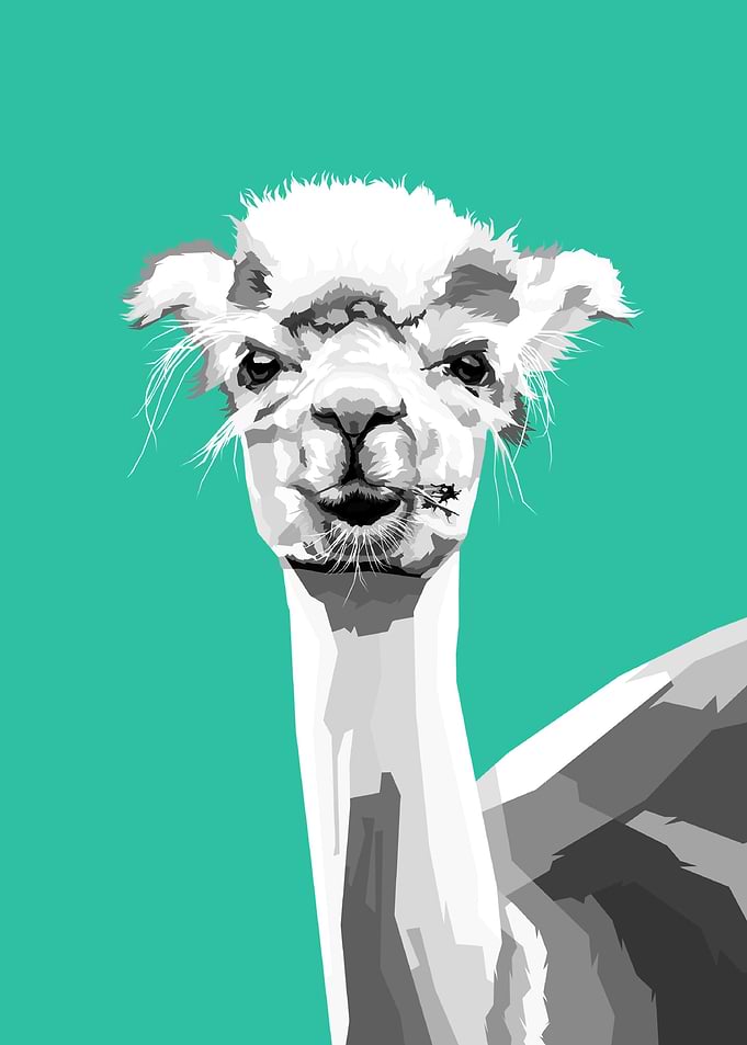 Alpaca