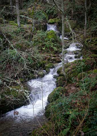 The river flows in you