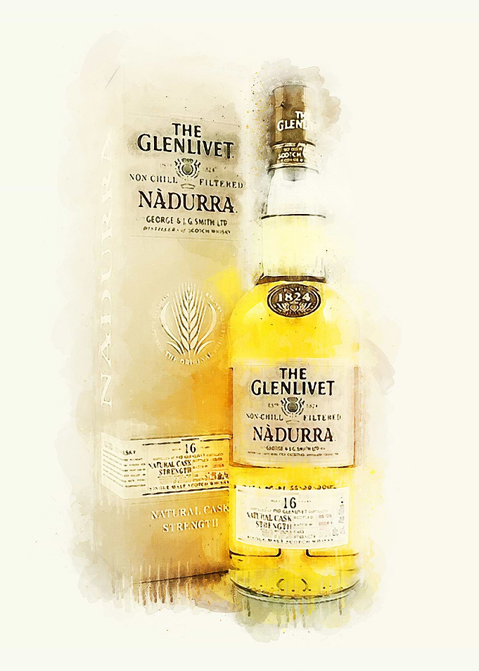 Vintage Whiskey Watercolor
