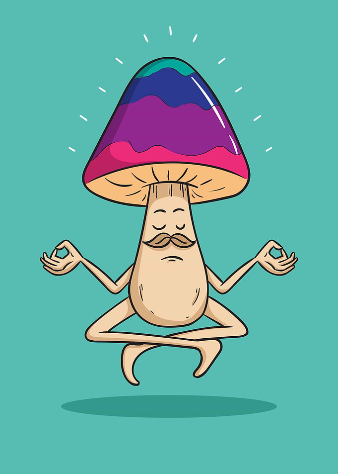 mushroom meditation