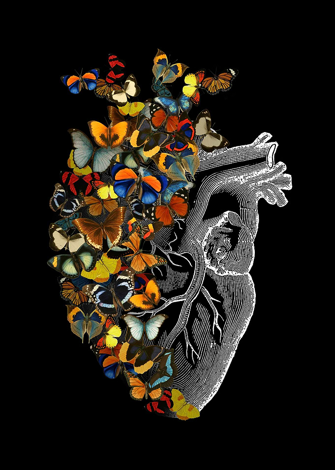 Butterfly Vintage Heart Sp