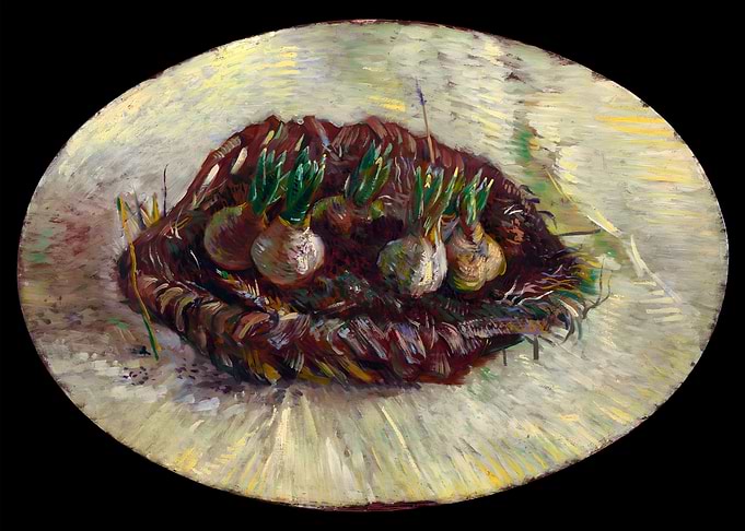 Basket of Hyacinth Bulbs
