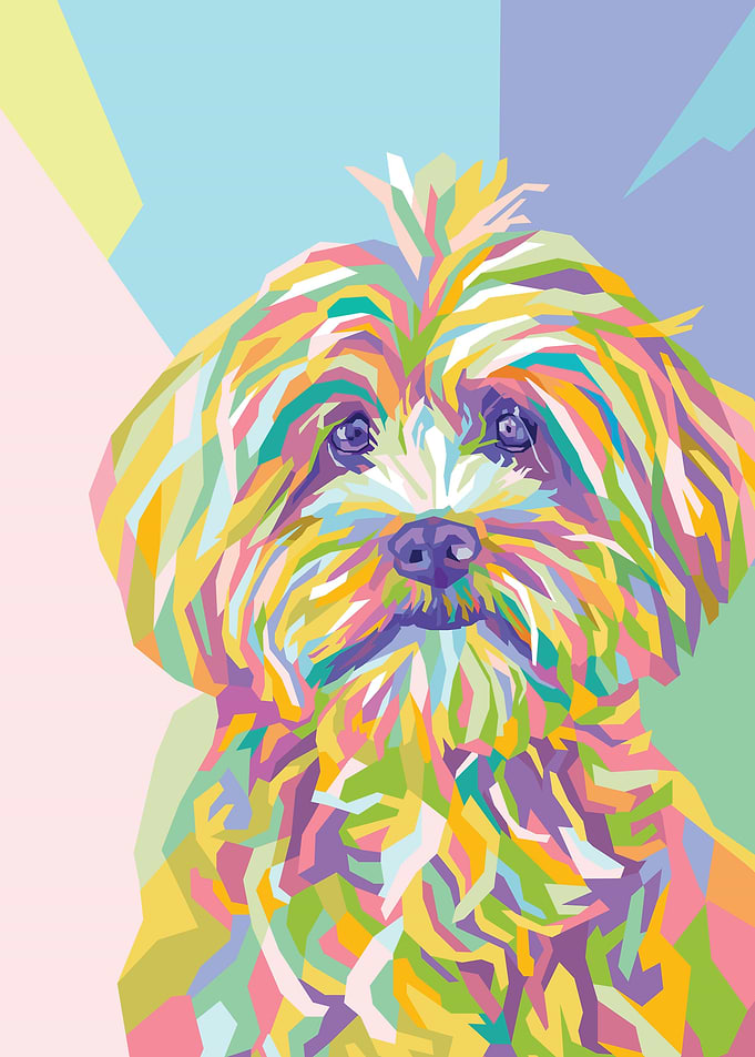 Pet Dog