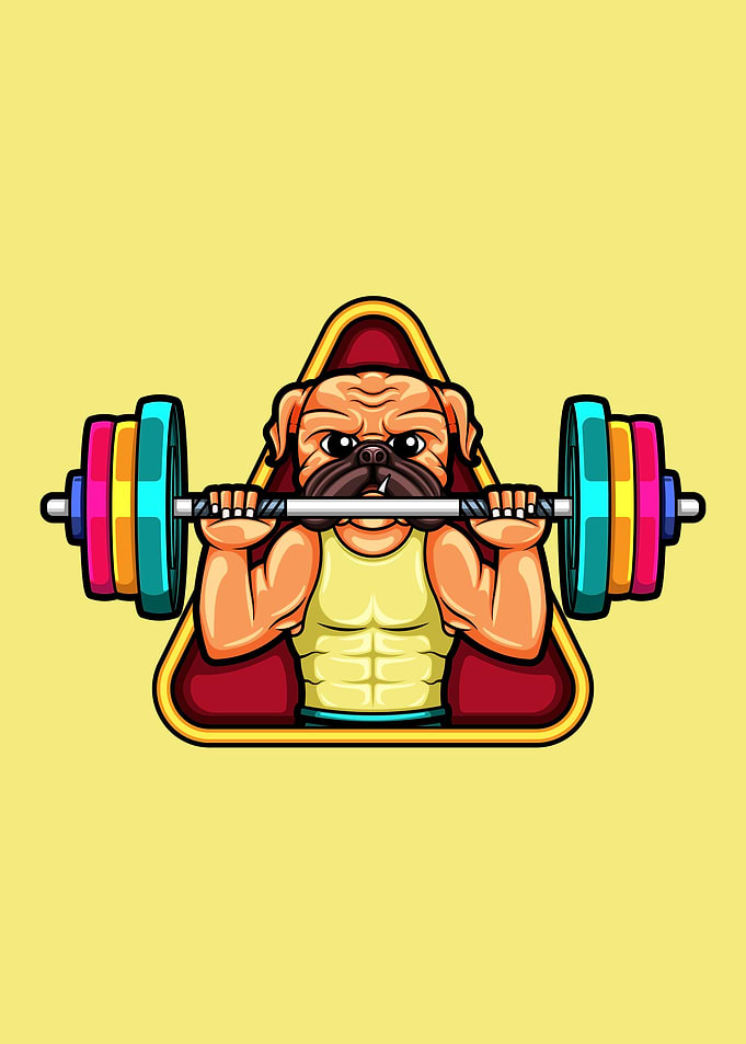 pug dog lifting weights