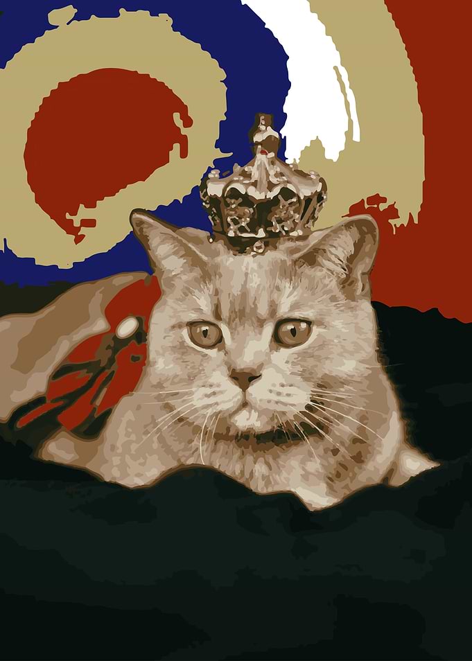 Elegant King of Cat