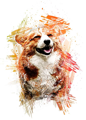 Animal Dog