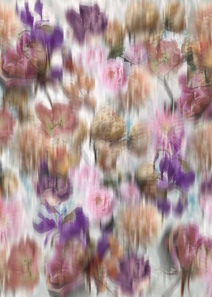 Rainy garden