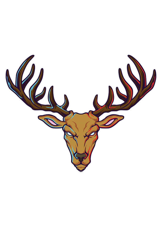 big horn elk head