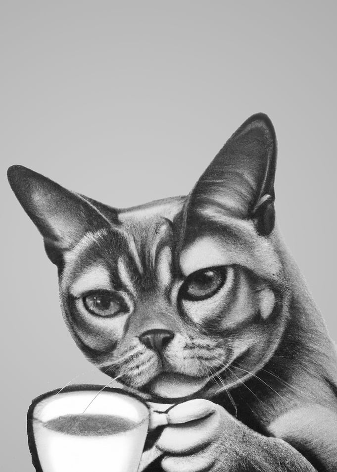 cat and coffee