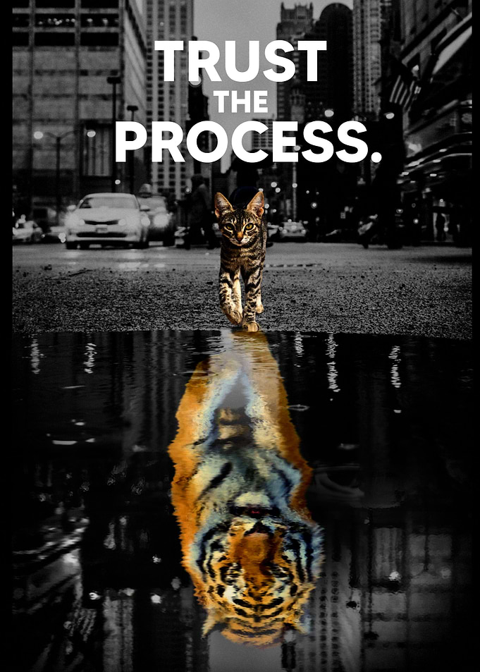 Inspirational Quotes Cat