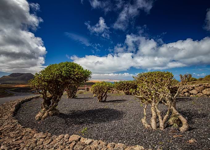 Spain landscape, Lanzarote