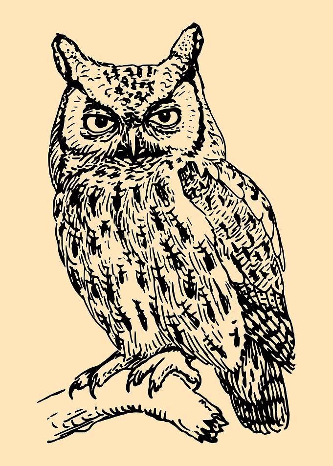 Owl Lovers Art 6