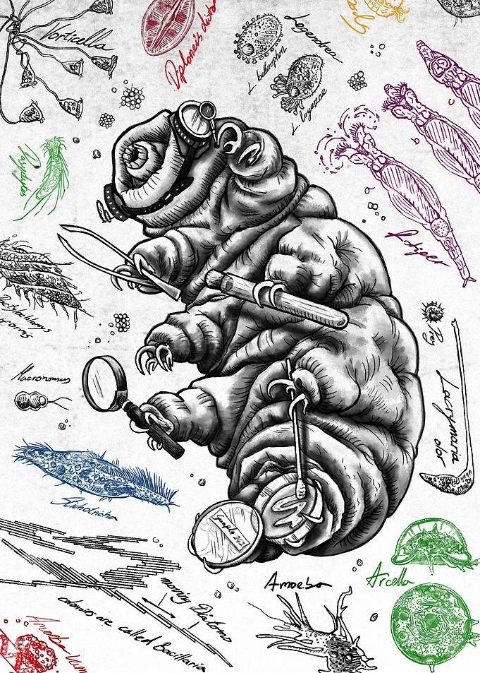 Tardigrade MicrobiologistW