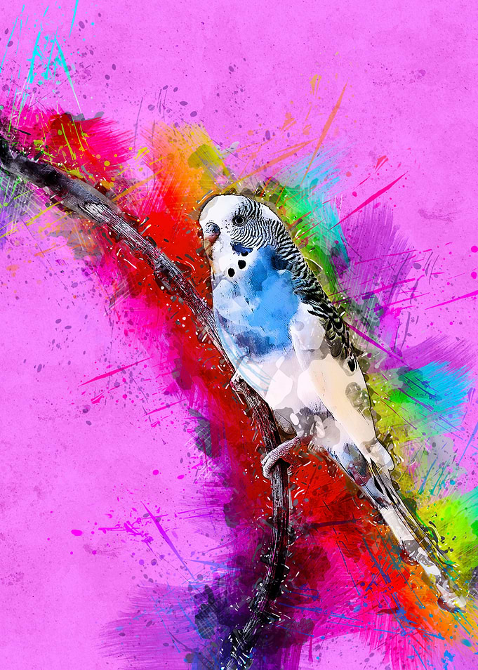 Bird 240