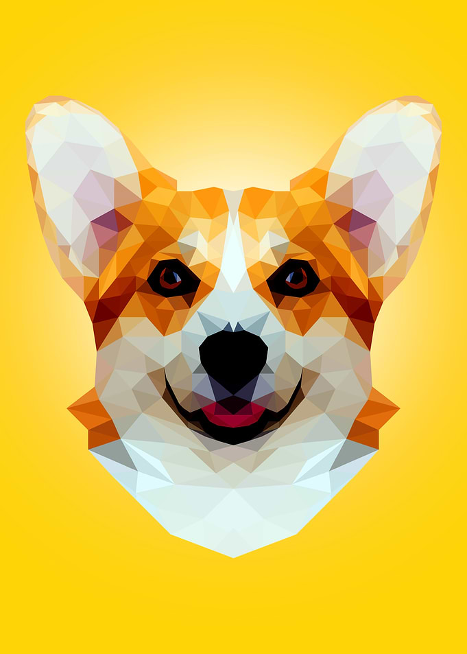 Corgi