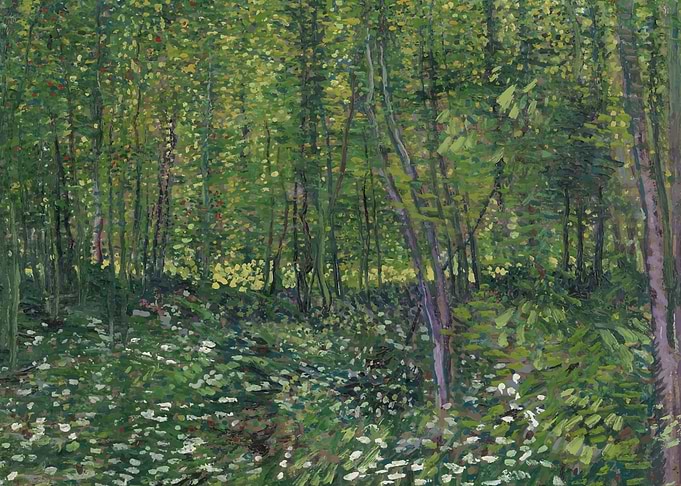 Vincent van Gogh