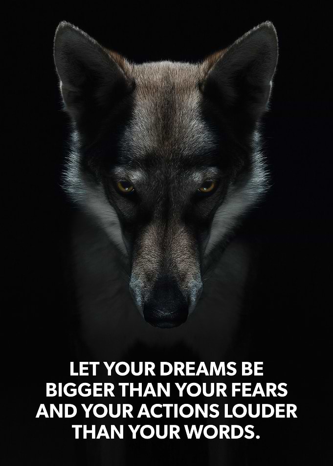 Dream Bigger Than Fears