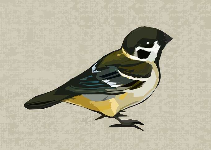 Abstract Sparrow Nice