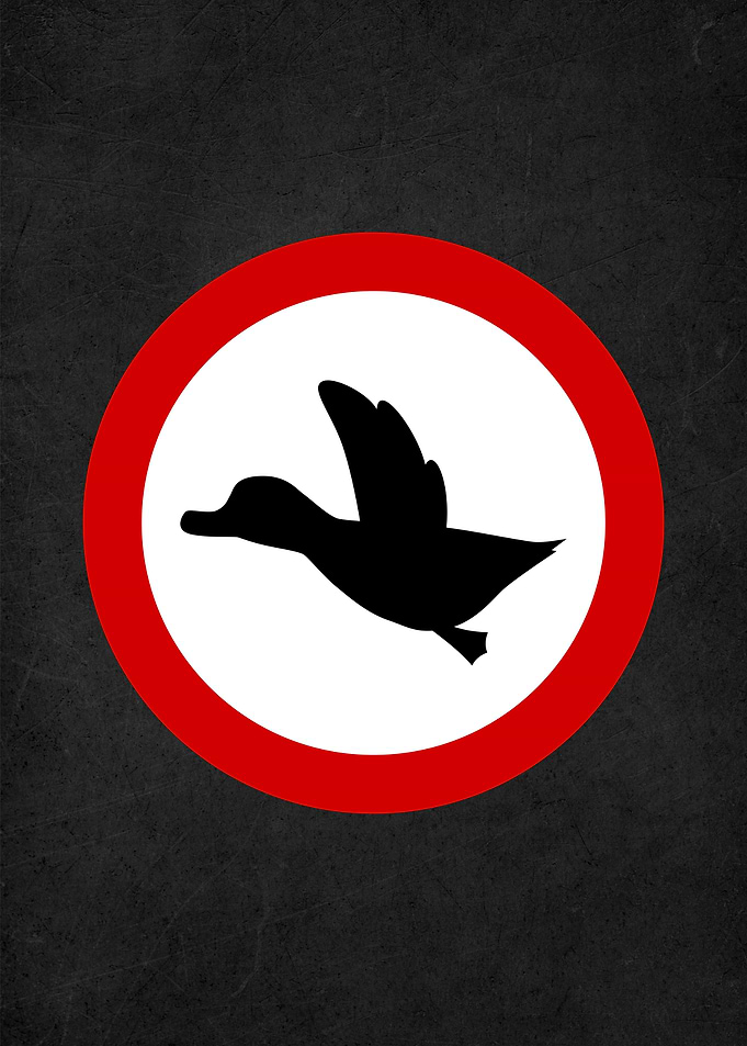 duck hunt road sign