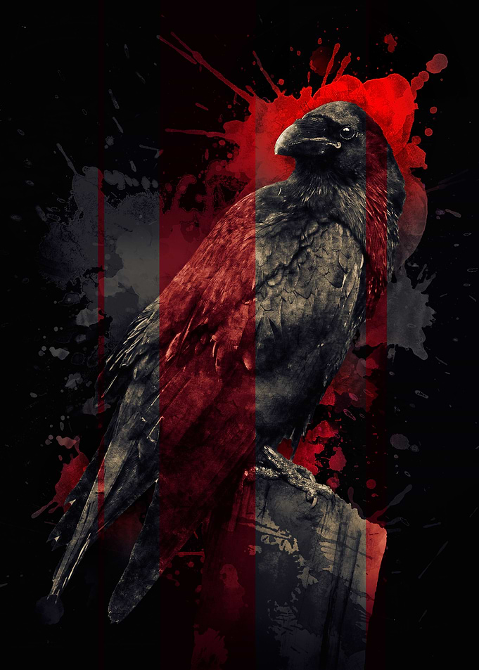 Raven Red and Black