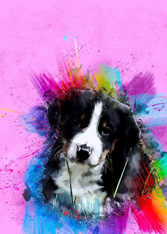 Dog 236