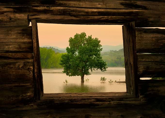 Open window tree lake