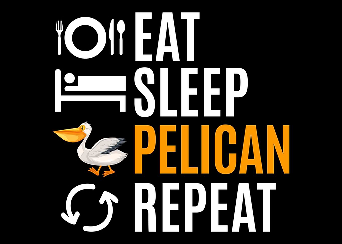 Eat Sleep Pelican Repeat