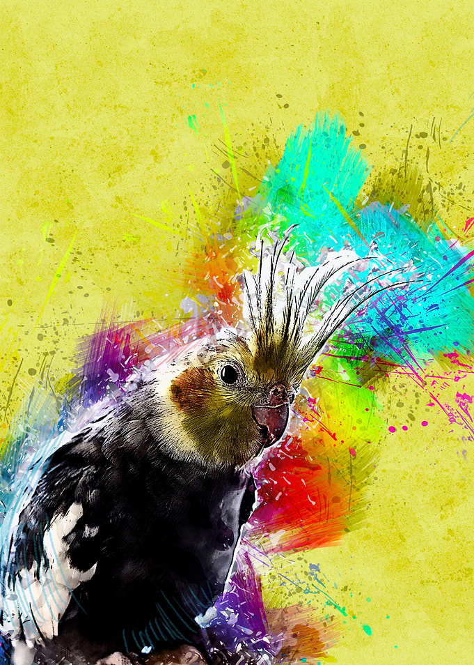 Cockatoo 232
