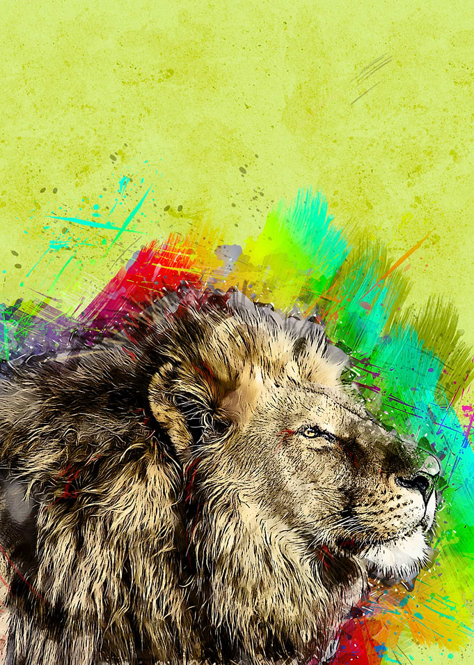 Lion 233