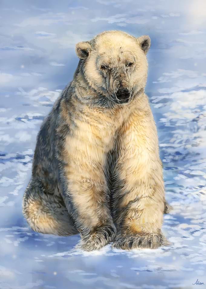 Ice Bear
