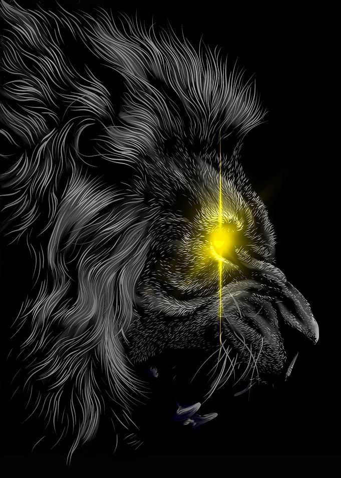 Lions eye