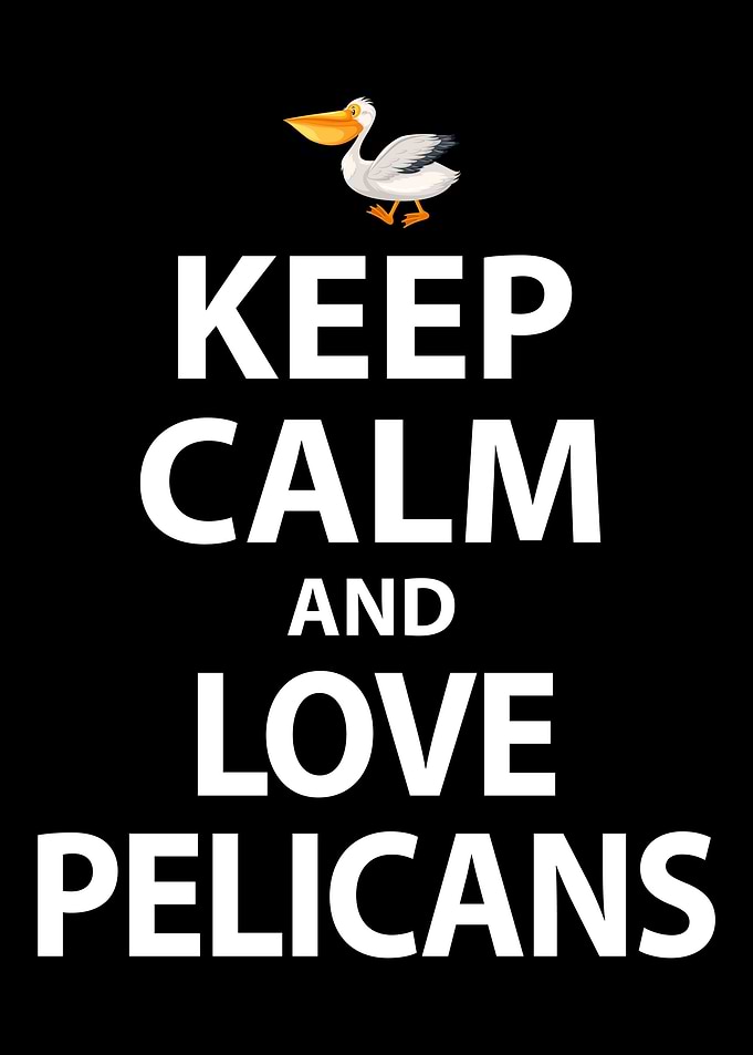 Pelican Love