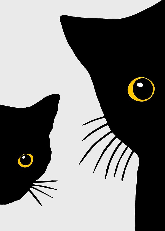 cat black aesthetic