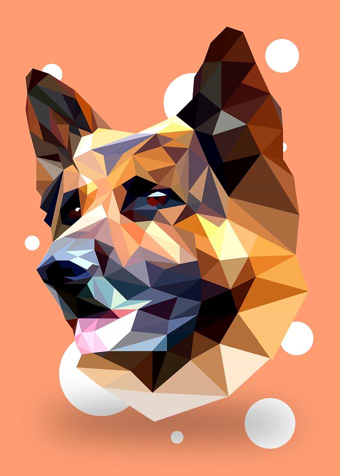 Shepherd